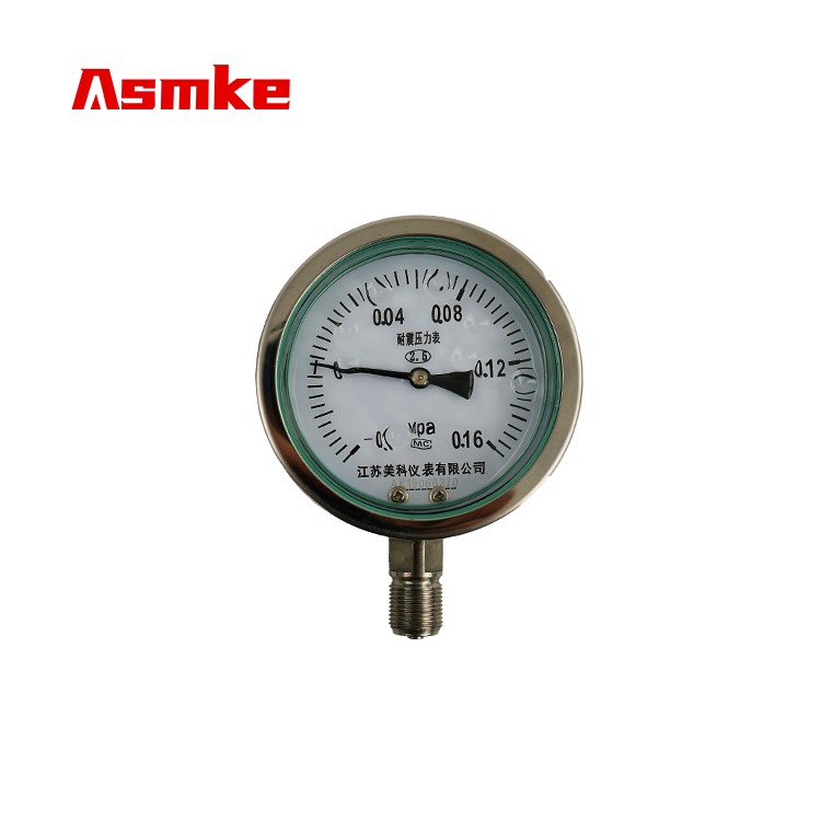 Asmke Pressure Gauge