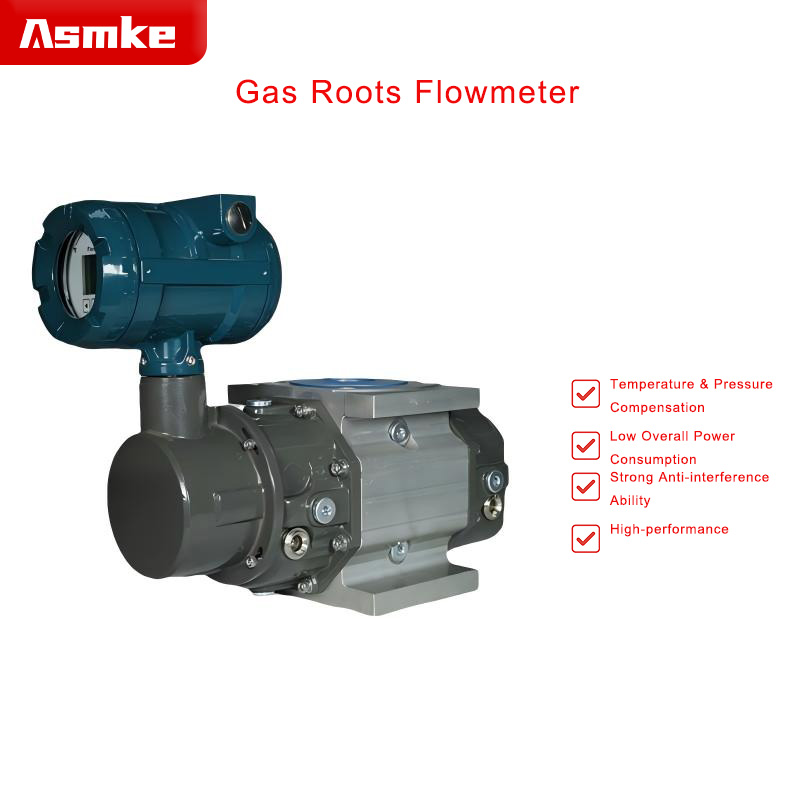 Asmke Gas Roots Flowmeter